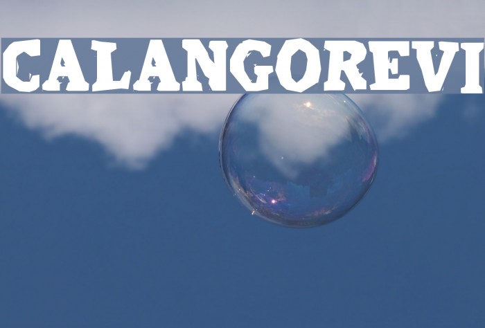 CalangoRevi Example 3