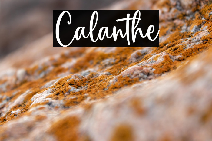 Calanthe Example 1