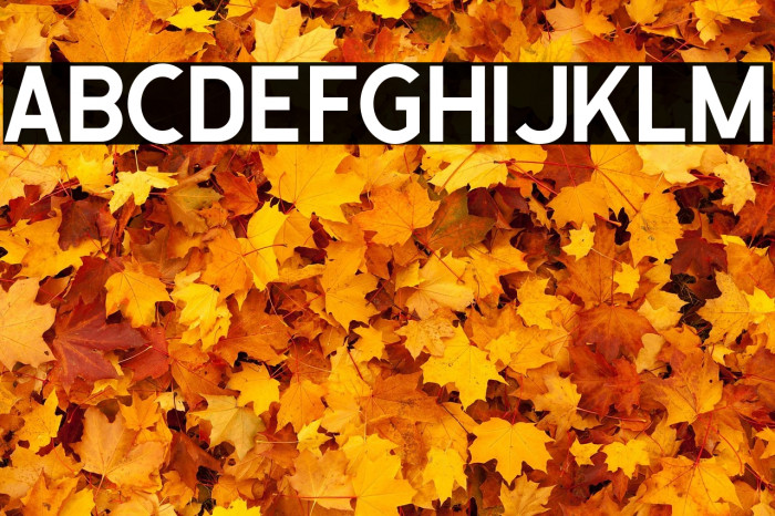 Calasans04SolidDemo-04Solid Example 2