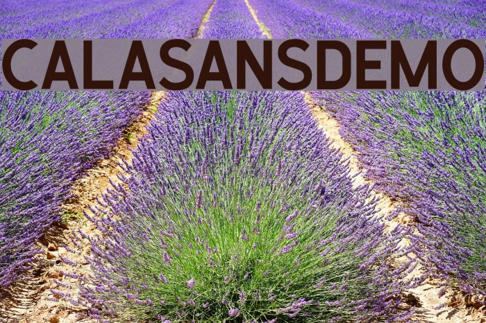 CalasansDEMO Font examples