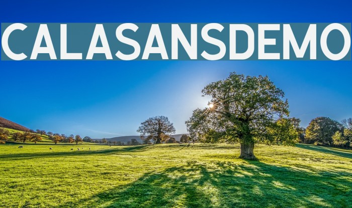 CalasansDEMO Font examples