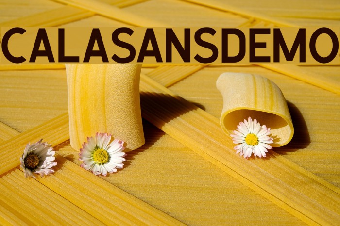 CalasansDEMO Font examples