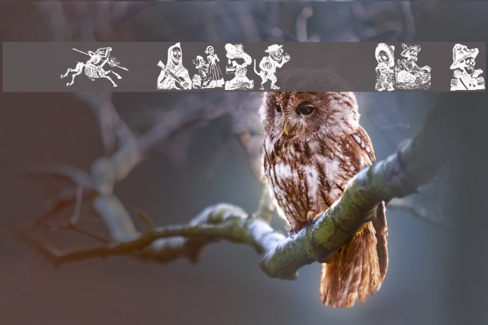 Calaveras 323 Font examples