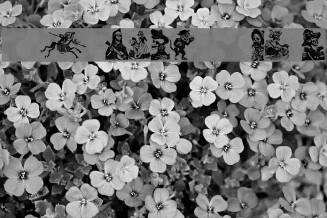 Calaveras 323 Font examples