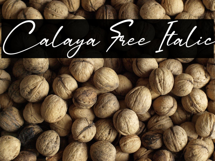 Calaya Free Italic Example 2