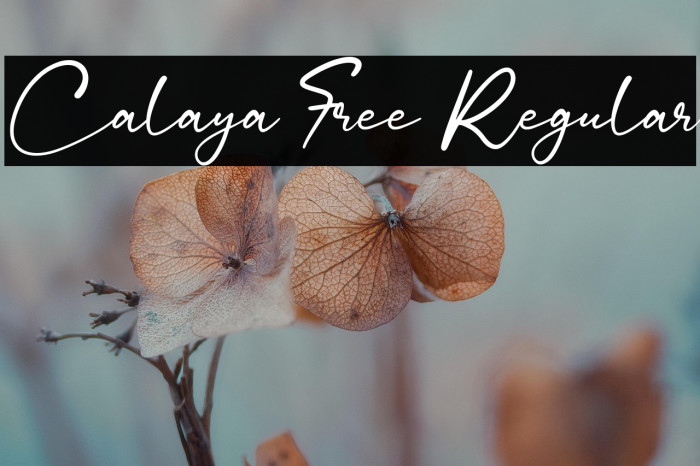 Calaya Free Regular Example 3