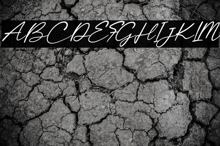 CalayaFree-Italic Example 2