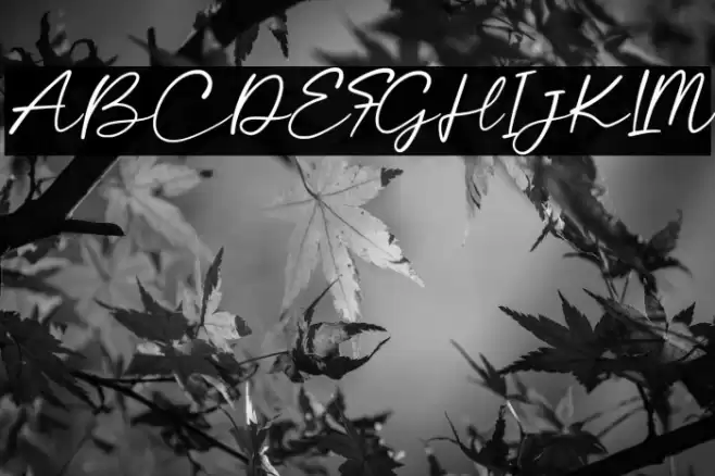 CalayaFree-Regular Font examples