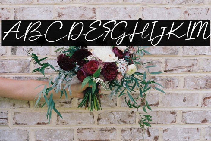 CalayaFree-Regular Example 3