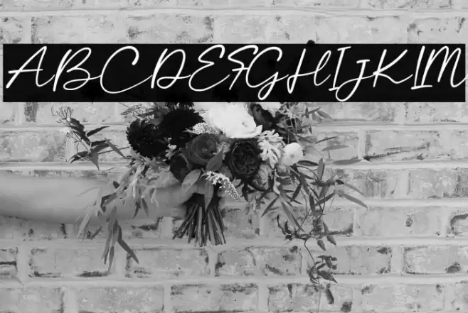 CalayaFree-Regular Font examples