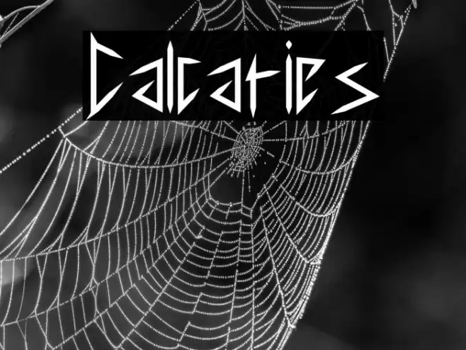 Calcaries Font examples