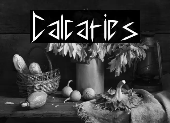 Calcaries Font examples