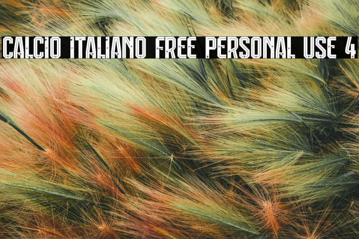 Calcio Italiano Free Personal Use 4 Example 2