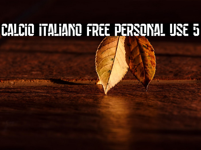 Calcio Italiano Free Personal Use 5 Example 2