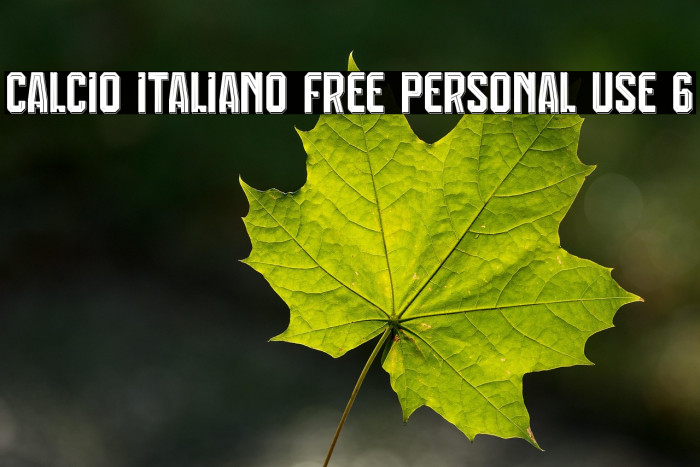 Calcio Italiano Free Personal Use 6 Example 1