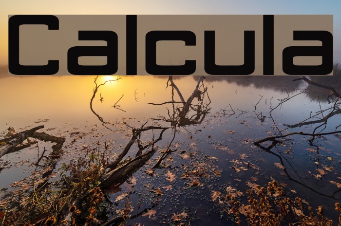 Calcula Font examples
