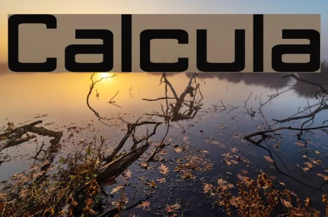 Calcula Example 1