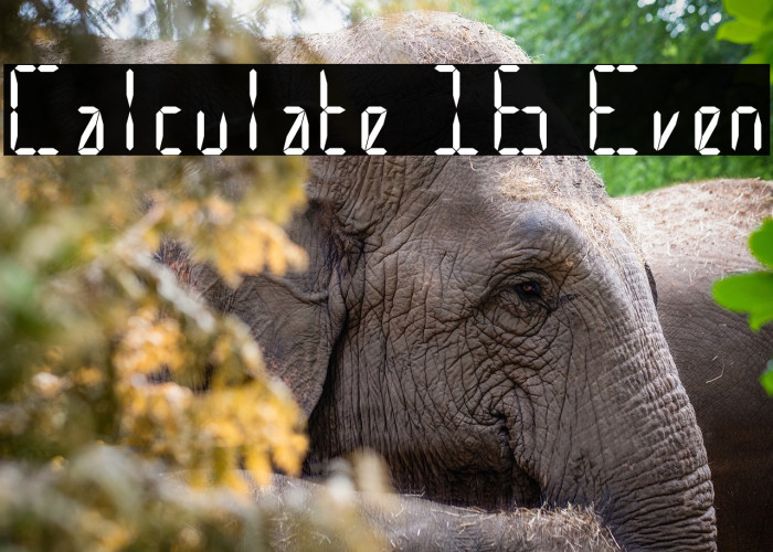 Calculate 16 Even Example 1