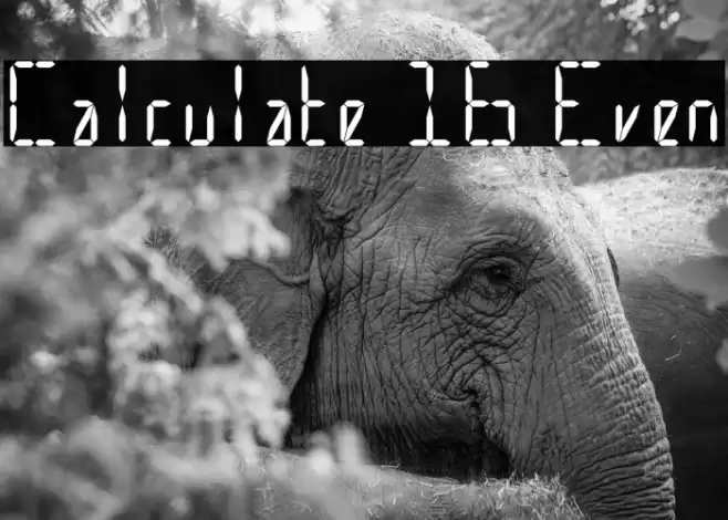 Calculate 16 Even Font examples