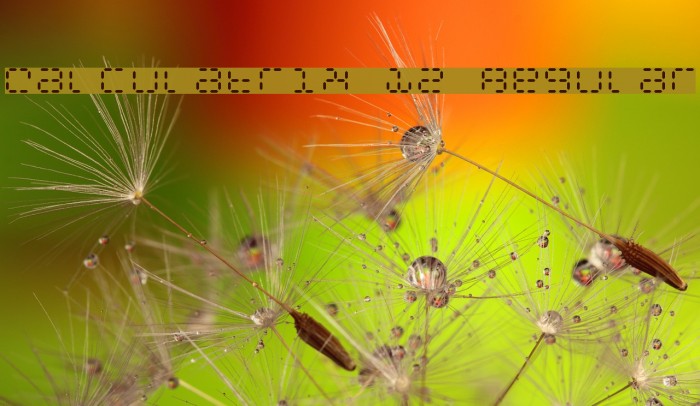 Calculatrix 12 Regular Font examples