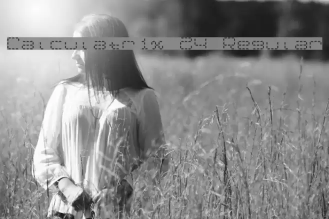 Calculatrix 24 Regular Font examples