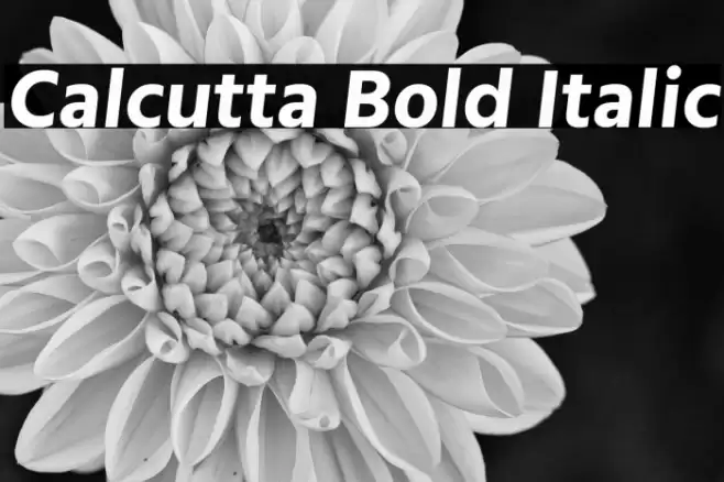 Calcutta Bold Italic Font examples