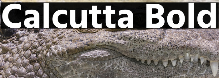 Calcutta Bold Example 3