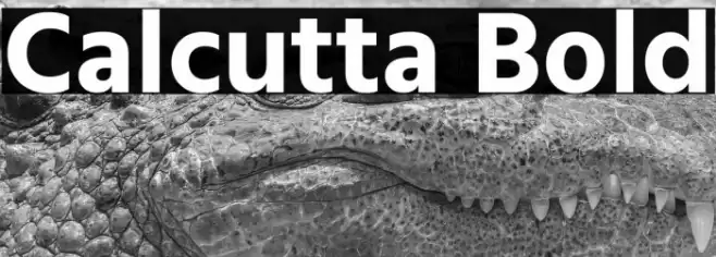 Calcutta Bold Font examples