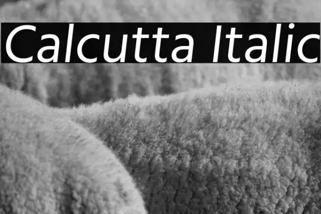 Calcutta Italic Font examples