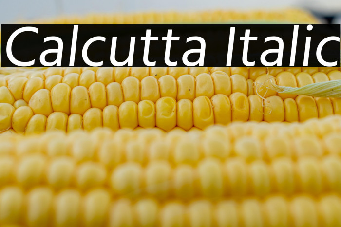 Calcutta Italic Example 3