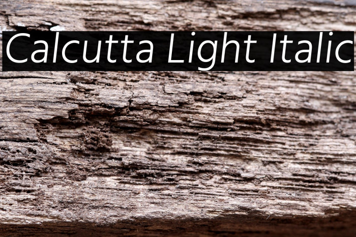 Calcutta Light Italic Example 3