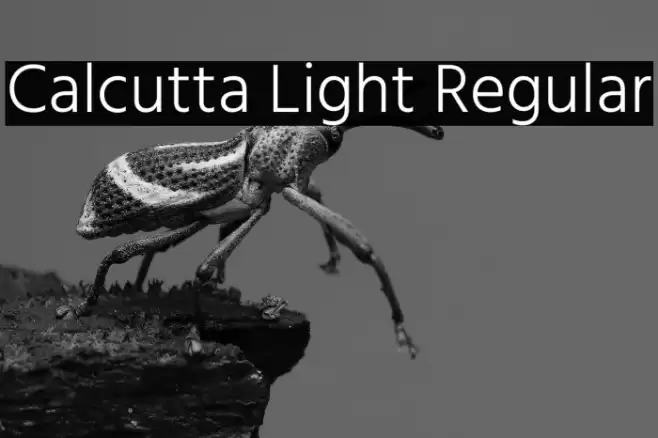Calcutta Light Regular Font examples