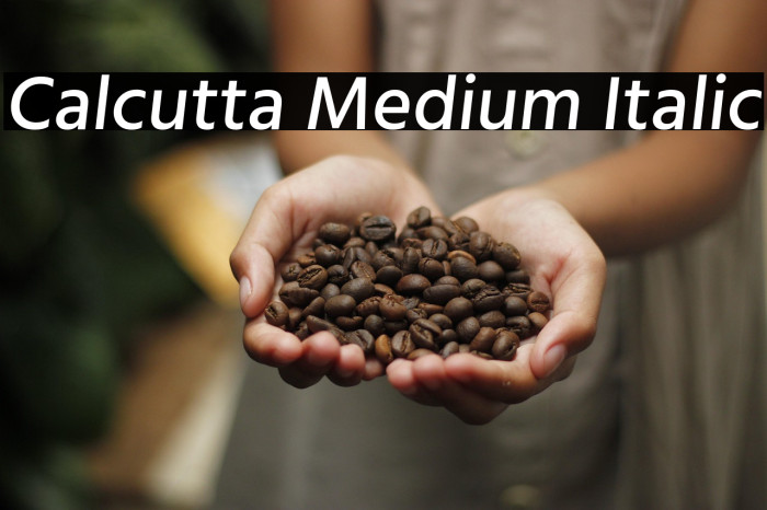 Calcutta Medium Italic Example 1