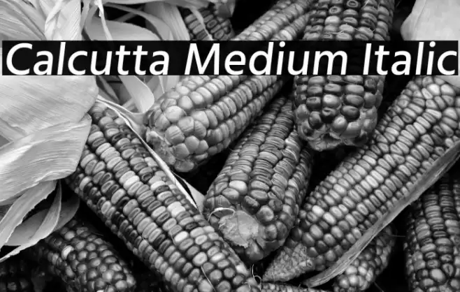 Calcutta Medium Italic Font examples
