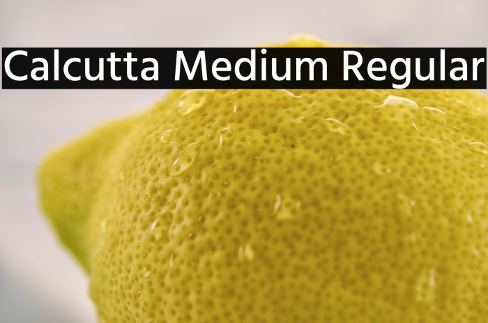 Calcutta Medium Regular Example 2