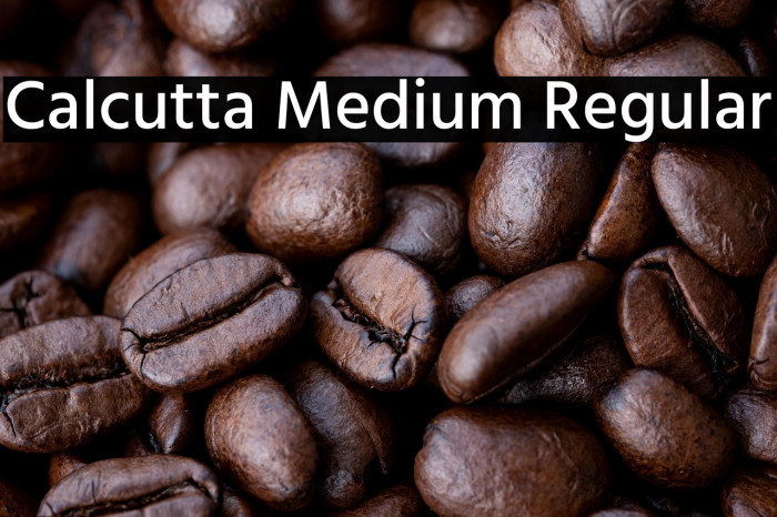 Calcutta Medium Regular Example 3