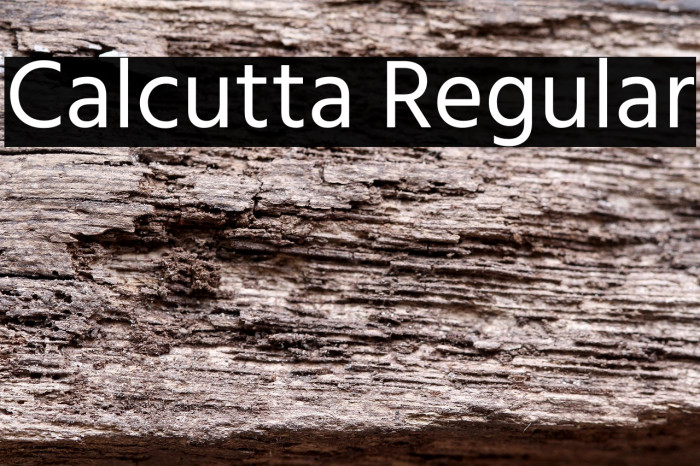 Calcutta Regular Example 1