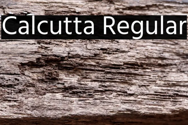 Calcutta Regular Example 1