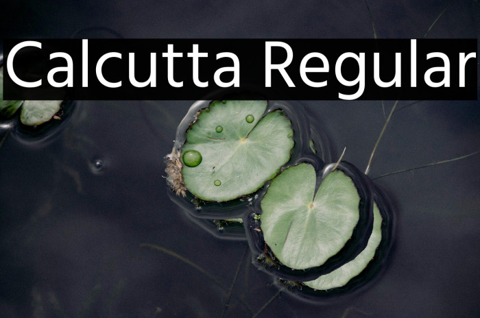 Calcutta Regular Example 3