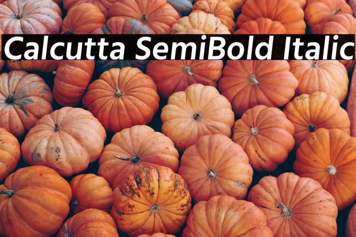 Calcutta SemiBold Italic Example 2