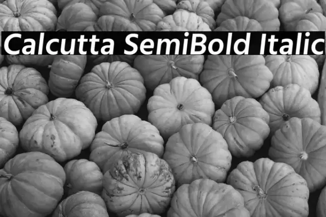 Calcutta SemiBold Italic Font examples