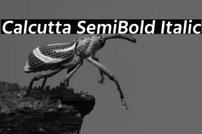Calcutta SemiBold Italic Font examples