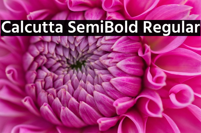 Calcutta SemiBold Regular Example 3
