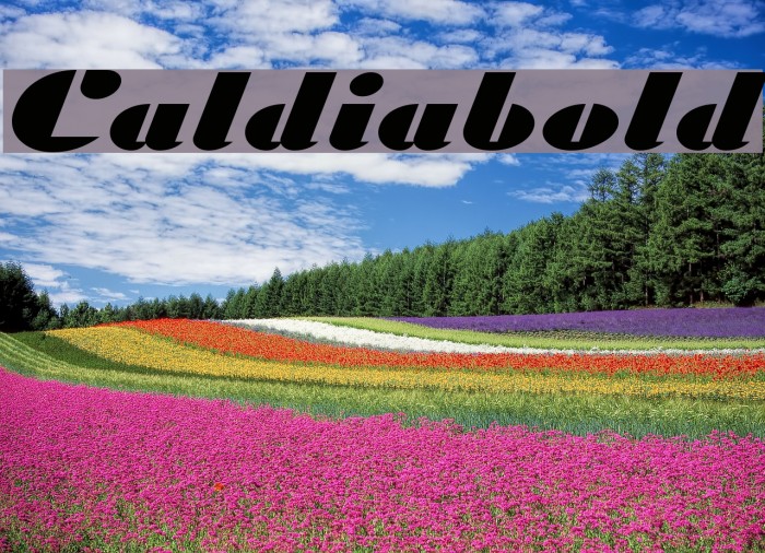 Caldiabold Schriftart examples
