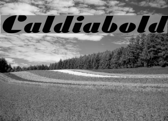 Caldiabold Font examples
