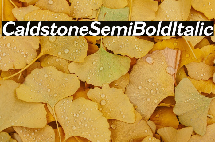 Caldstone SemiBold Italic Example 3