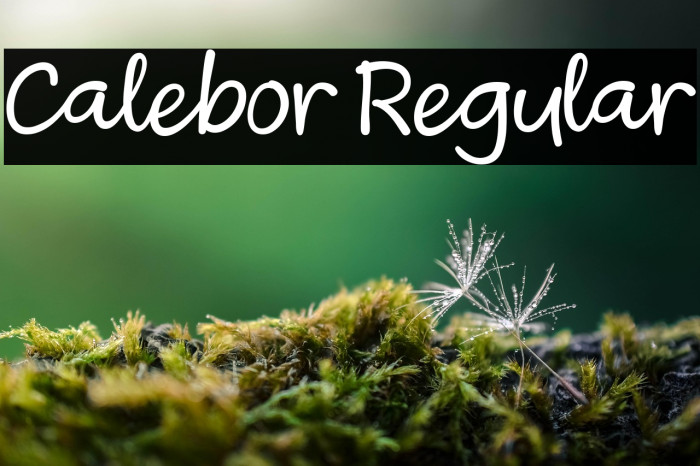 Calebor Regular Example 3