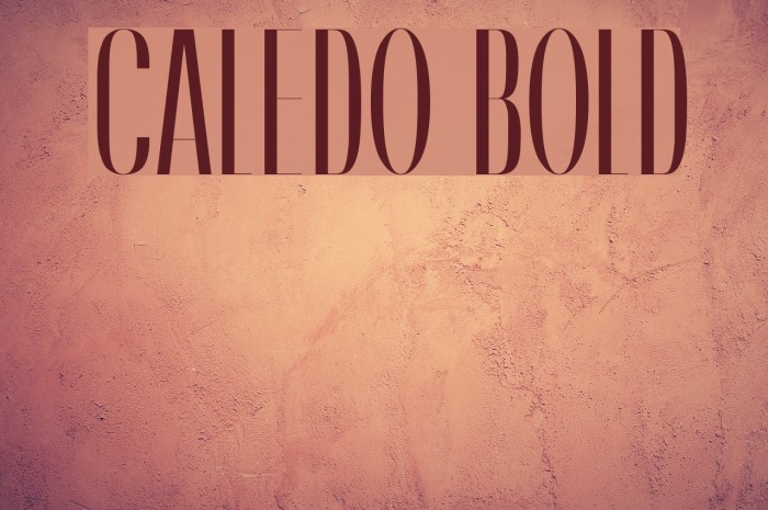 Caledo Bold Font examples