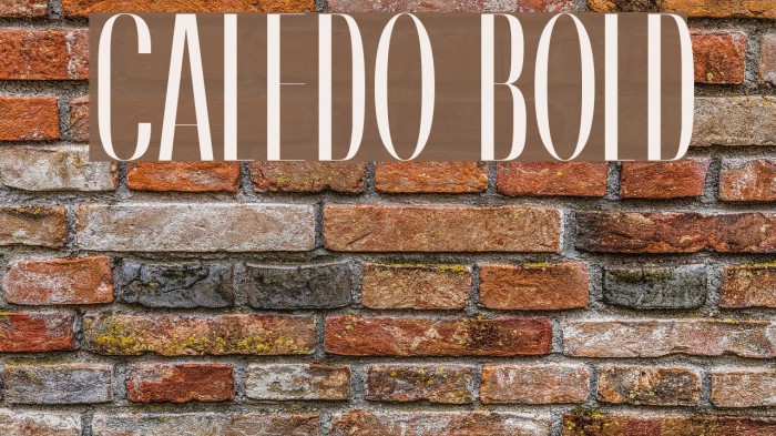 Caledo Bold Font examples