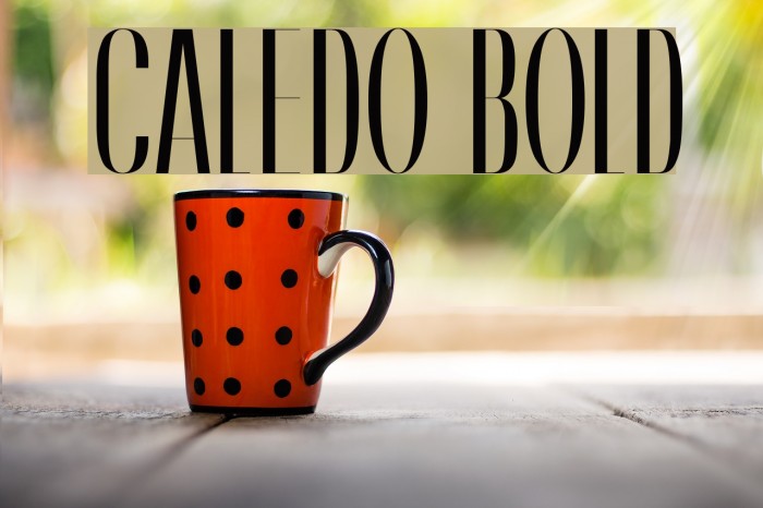 Caledo Bold Font examples